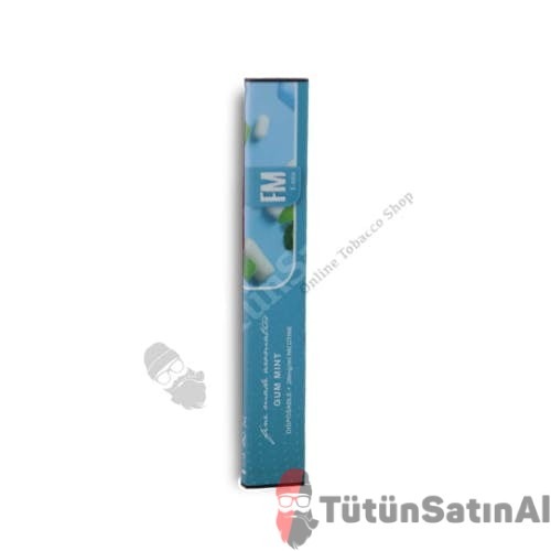 FM E-Stix Gum Mint 800 Çekim (Sakız Nane)