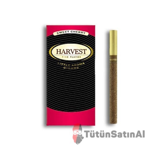 Harvest Sweet Cherry