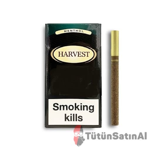 Harvest Sweet Menthol Little