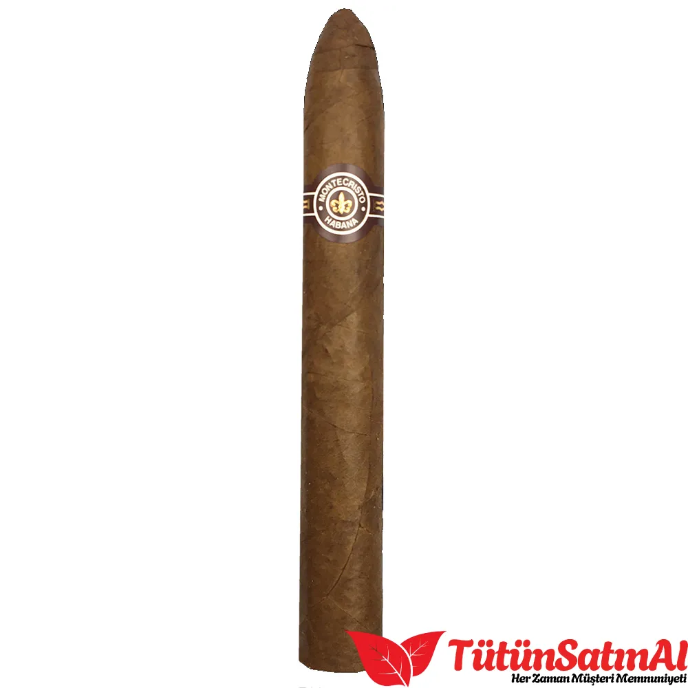 Montecristo No.2 10's Puro - Görsel 2