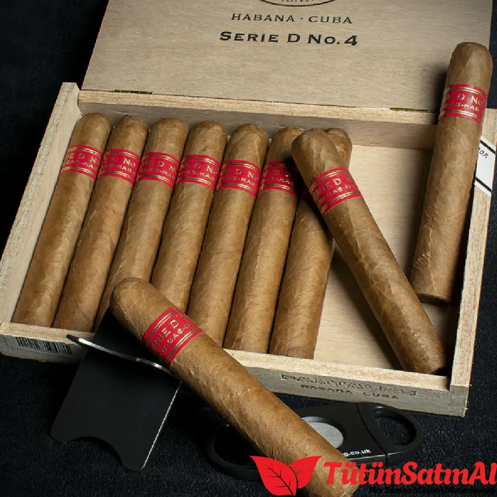 Partagas Seri D No.4 10's Puro