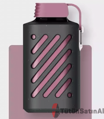 Vozol Gear 10000 STRAWBERRY RASPBERRY