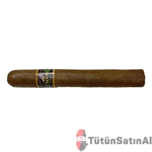 Cigüita Habana Corte Tekli - Görsel 2