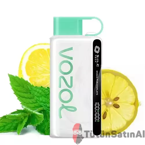 Vozol STAR 12000 LEMON MINT (LİMON-NANE)