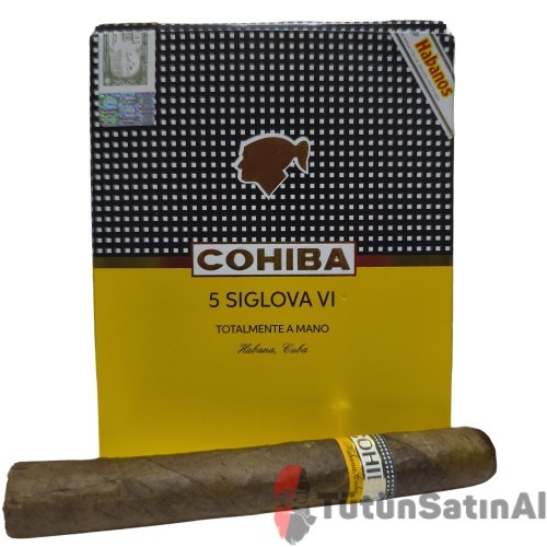 Cohiba Siglo VI Totalmente A Mano