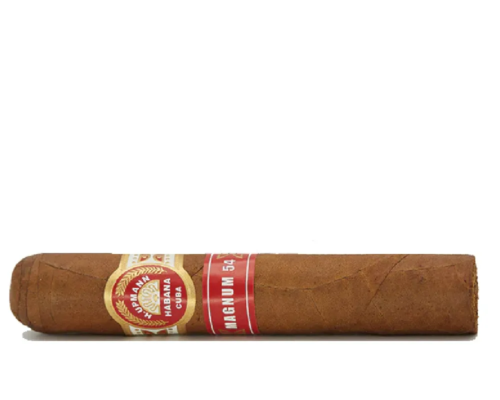 H. Upmann Magnum 54 10's Puro - Görsel 2