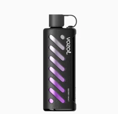 Vozol Gear Sisha 25000 Berry Mint