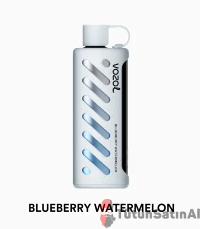 Vozol Gear Sisha 25000 Blueberry Watermelon
