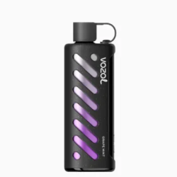 Vozol Gear Sisha 25000 Grape Mint