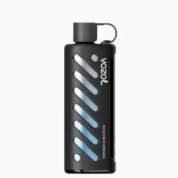 Vozol Gear Sisha 25000 Moscow Evenings
