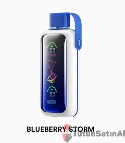 Vozol Star 20000 Blueberry Storm
