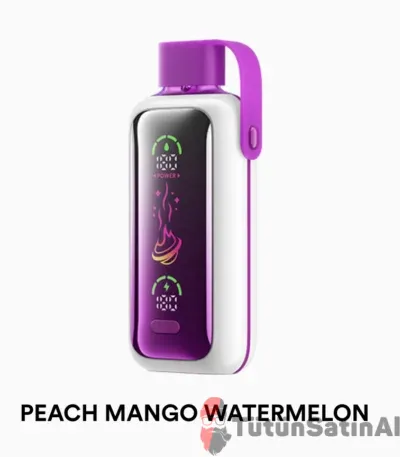 Vozol Star 20000 Peach Mango Watermelon
