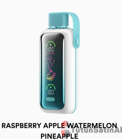 Vozol Star 20000 Raspberry Apple Watermelon Pineapple