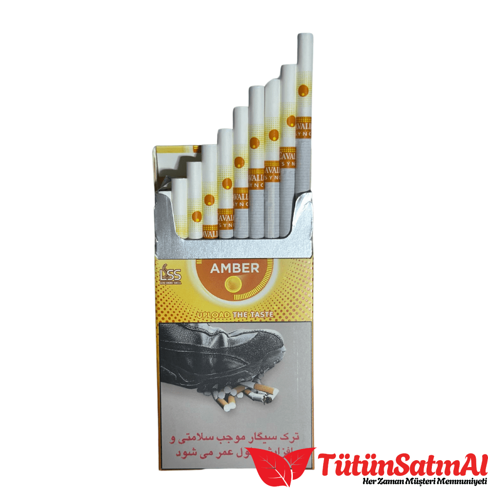 Cavallo Sync amber - Görsel 2