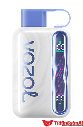 Vozol Star 40000 Blueberry Ice