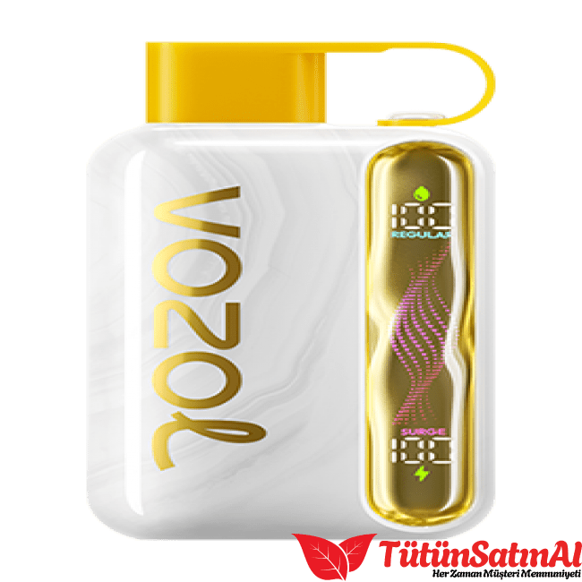 Vozol Star 40000 Mango Ice