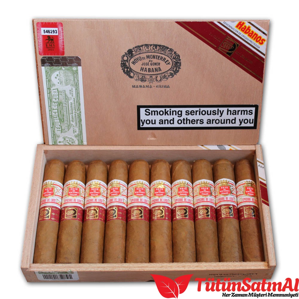 Hoyo de Monterrey Epicure De Luxe 10's Puro