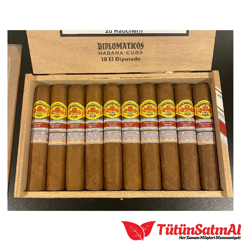Diplomáticos El Diputado Ex. Belux - Görsel 2