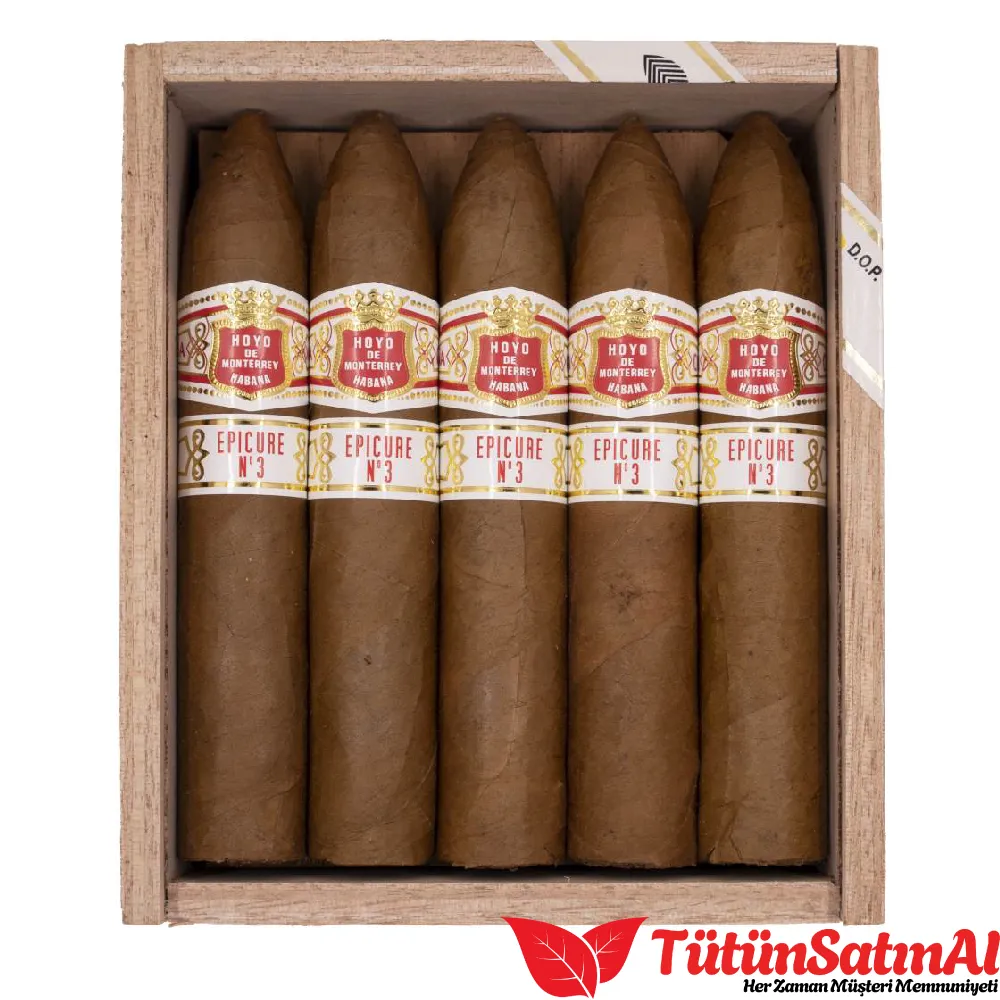 Hoyo de Monterrey Epicure No.3 10's Puro - Görsel 4