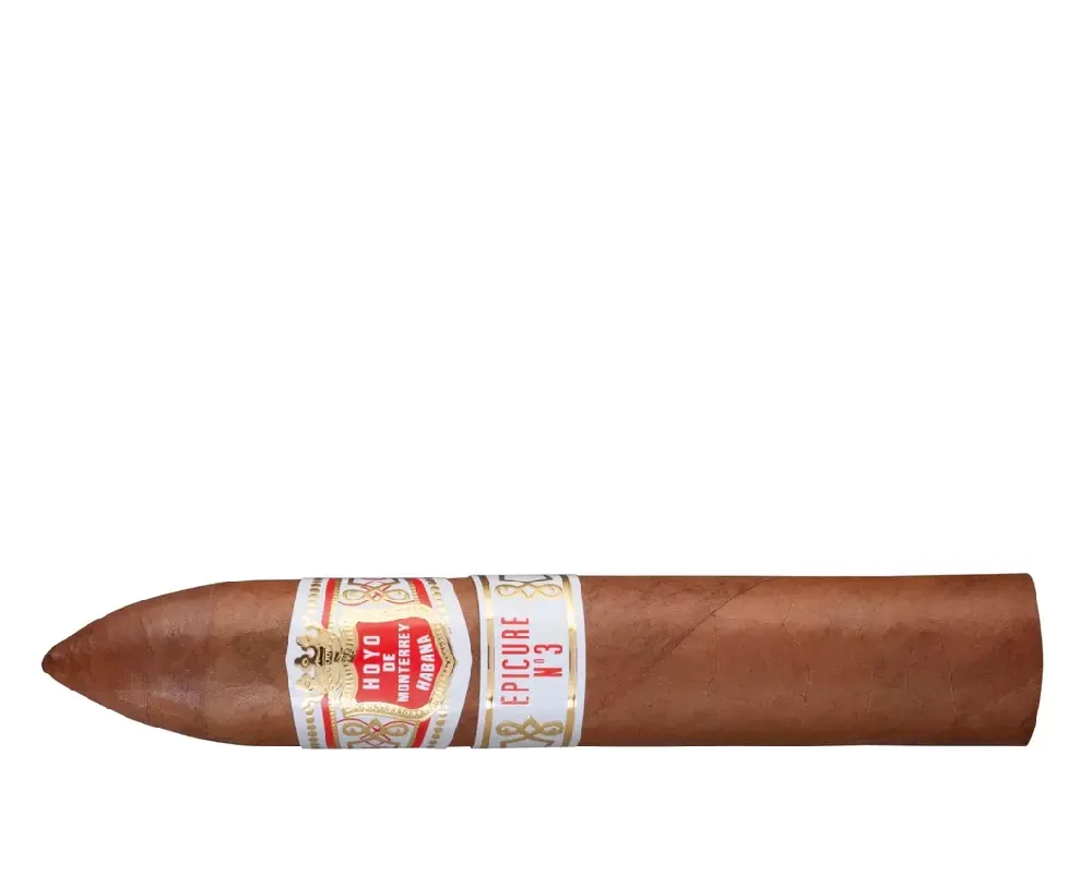 Hoyo de Monterrey Epicure No.3 10's Puro - Görsel 2