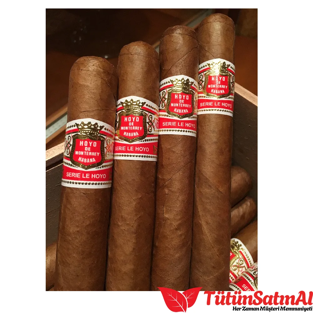 Hoyo de Monterrey Rio Seco 10's Puro - Görsel 2