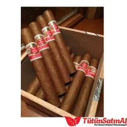 Hoyo de Monterrey Rio Seco 10's Puro