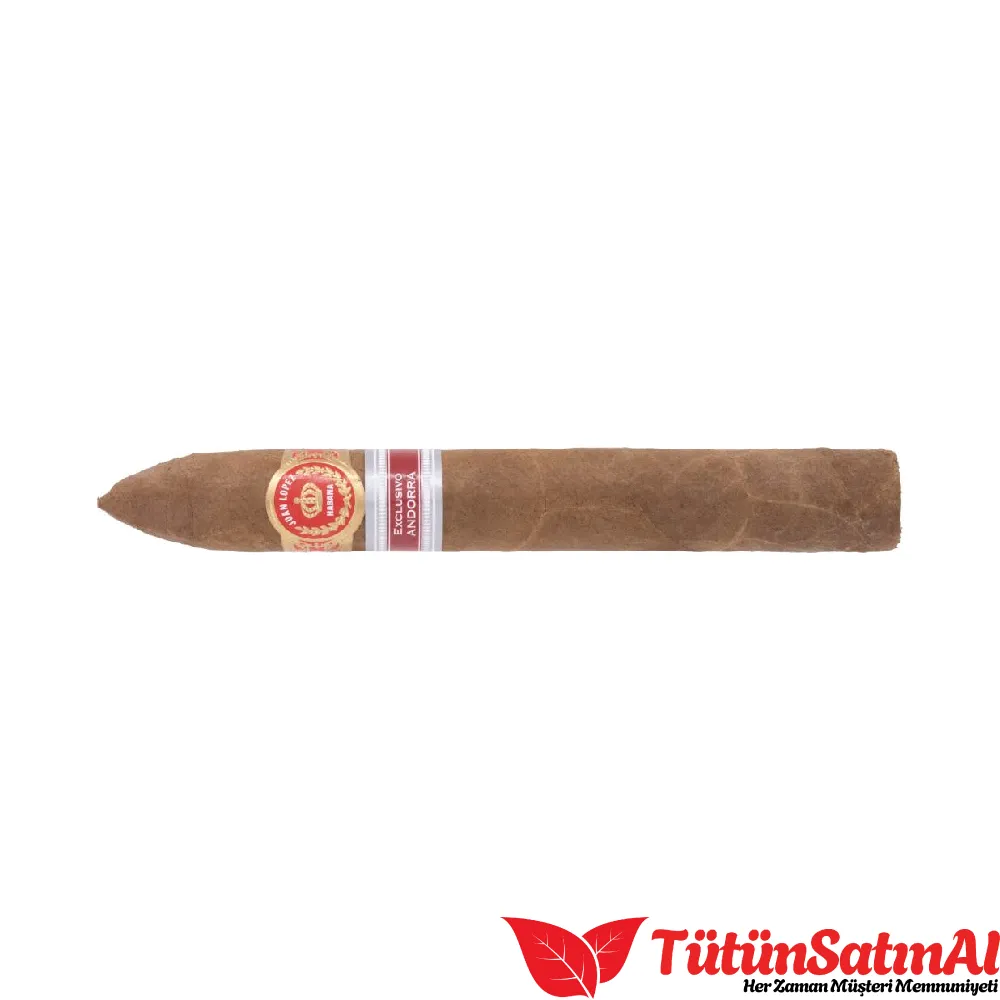 Juan Lopez Piramides Ex. Andorra - Görsel 3