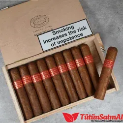Partagas Serie D No.5
