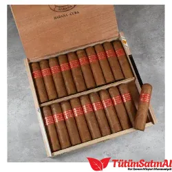 Partagas Serie D No.6
