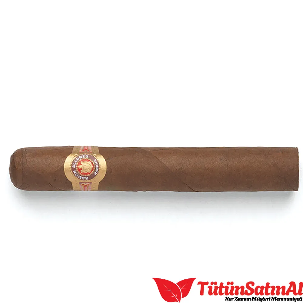 Ramon Allones No.3 Puro - Görsel 3