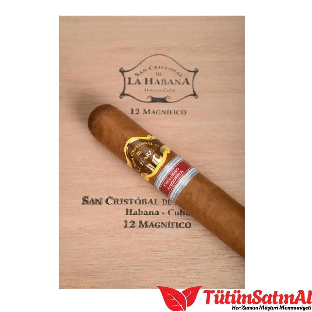 San Cristobal Magnifico Ex. Andorra - Görsel 4
