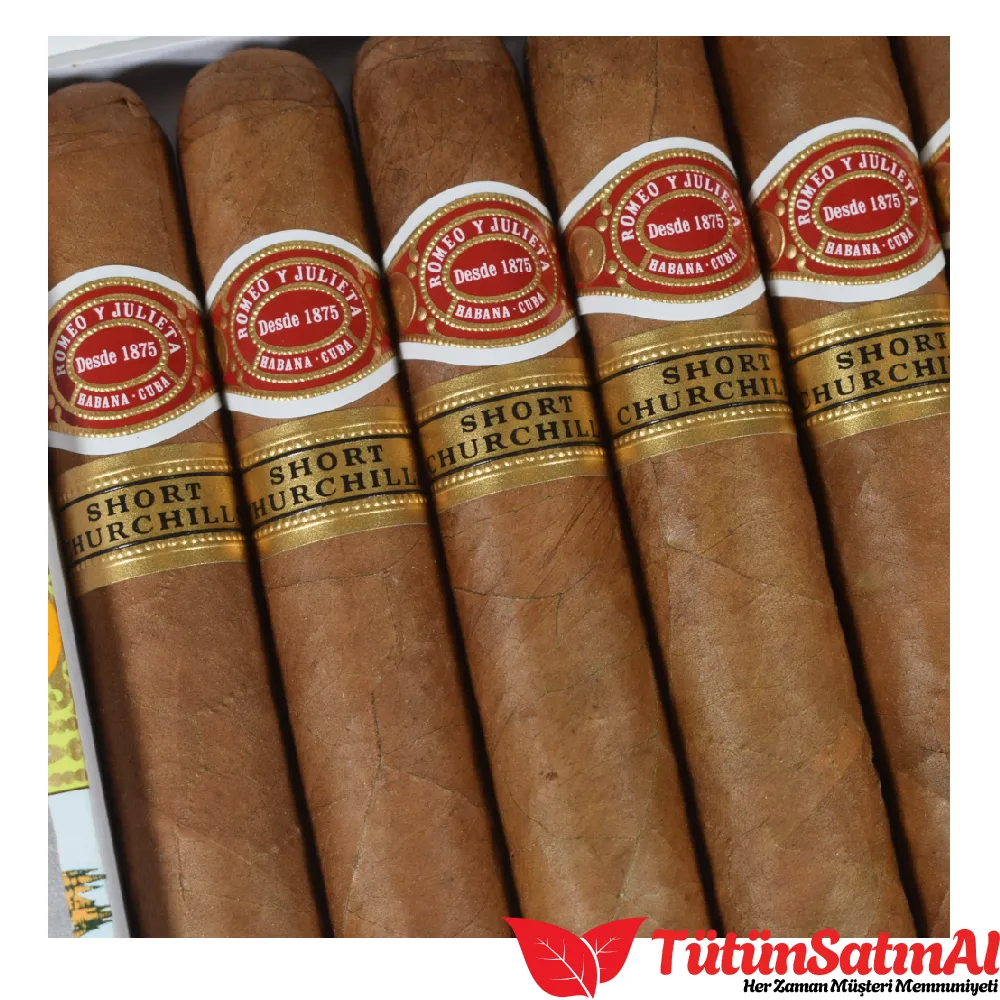 Romeo y Julieta Short Churchill - 10's Puro - Görsel 2