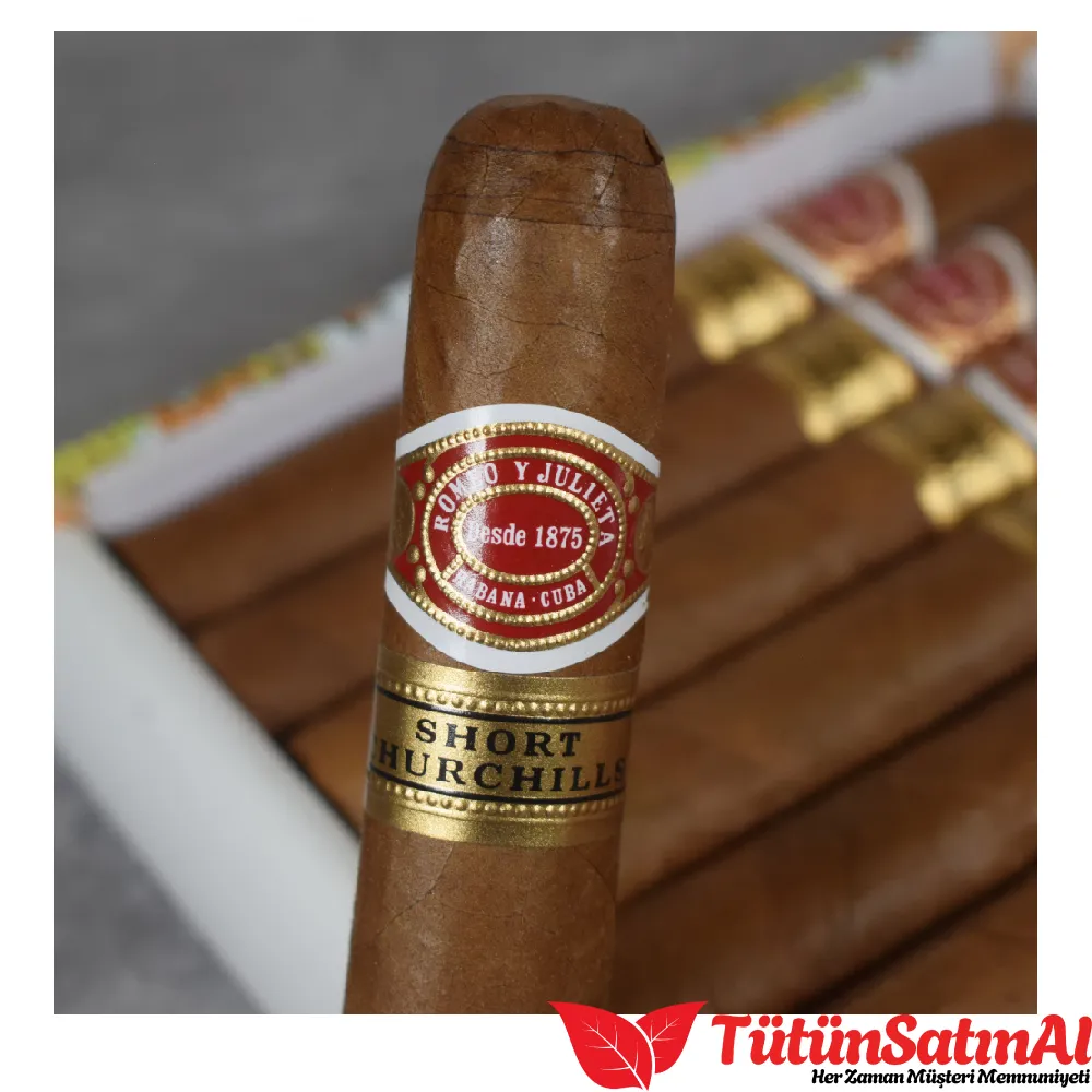Romeo y Julieta Short Churchill - 10's Puro - Görsel 4