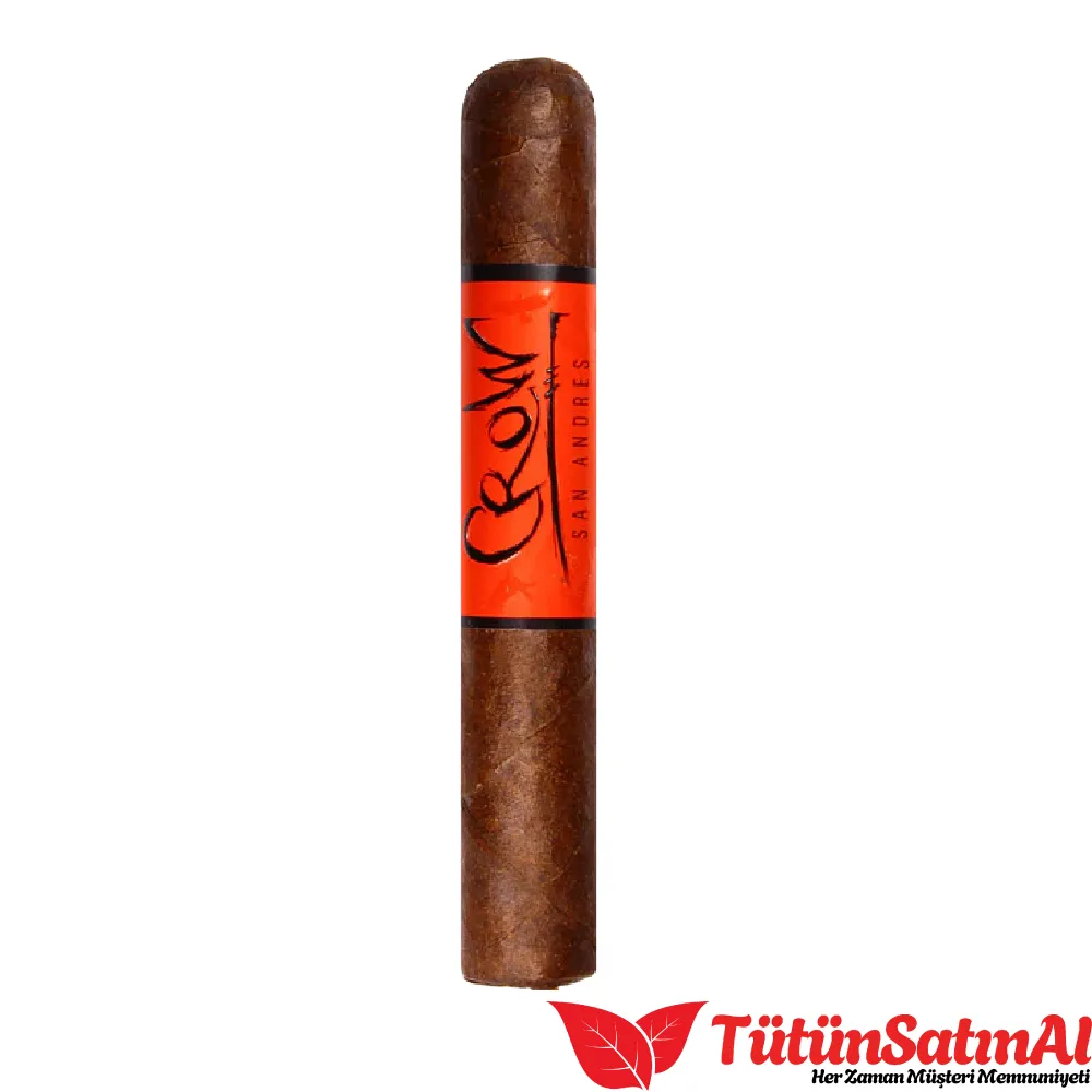Blackbird Crow San Andres Gran Toro 21's Puro - Görsel 2