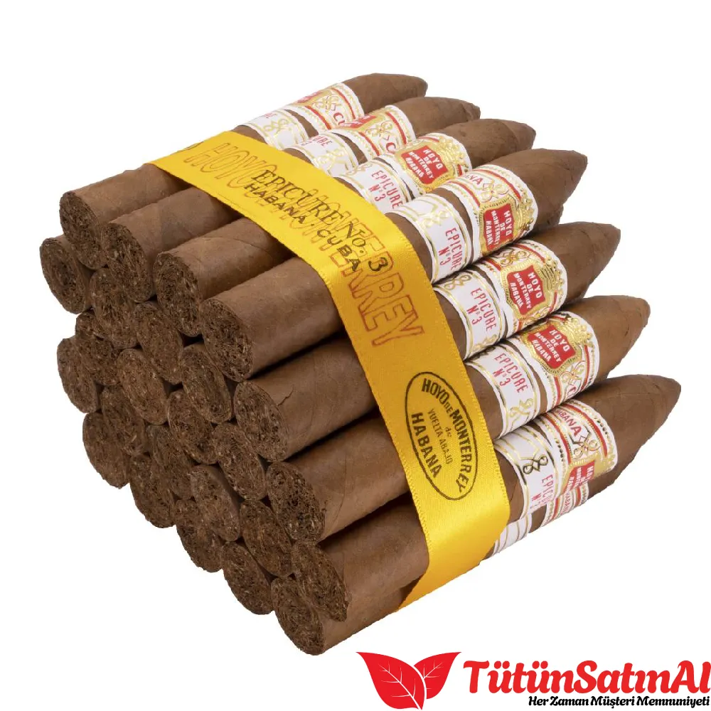 Hoyo de Monterrey Epicure No.3 25's Puro - Görsel 2