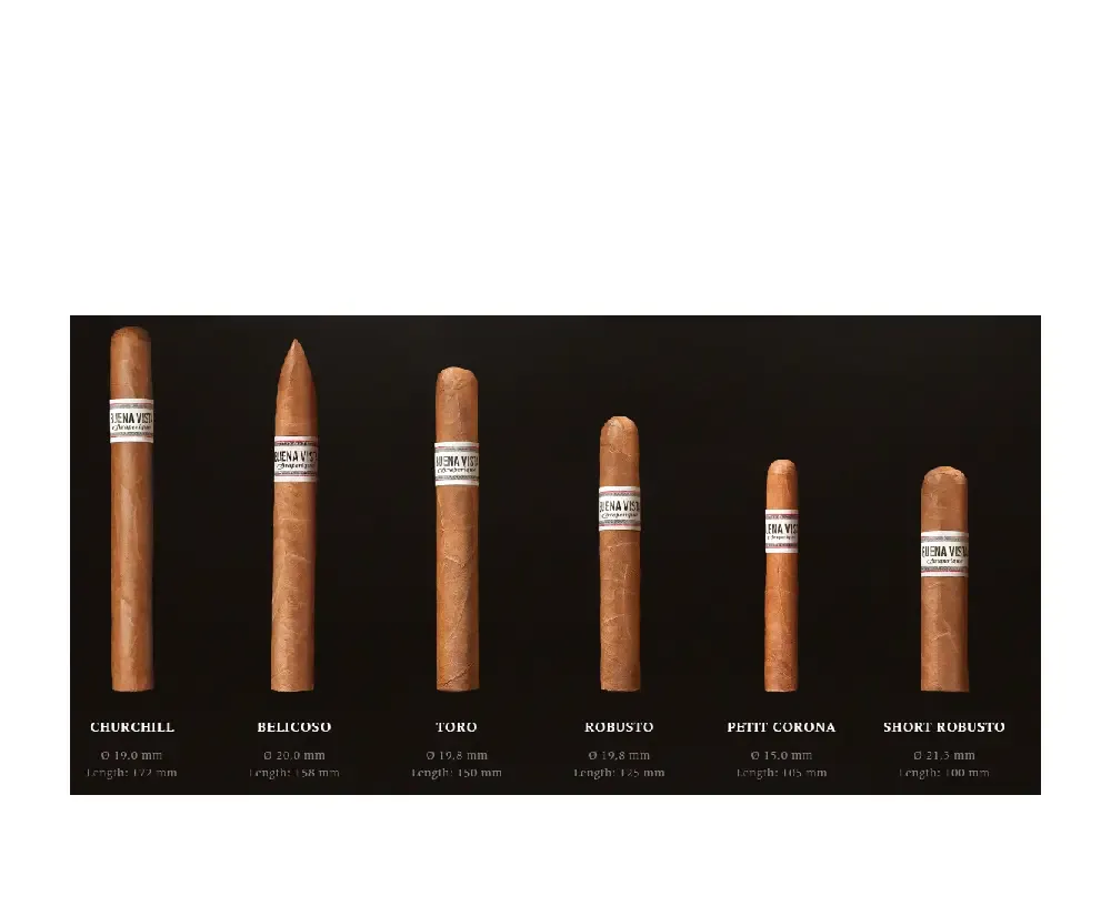 Buena Vista Araperique Robusto Puro - 1 Adet - Görsel 3