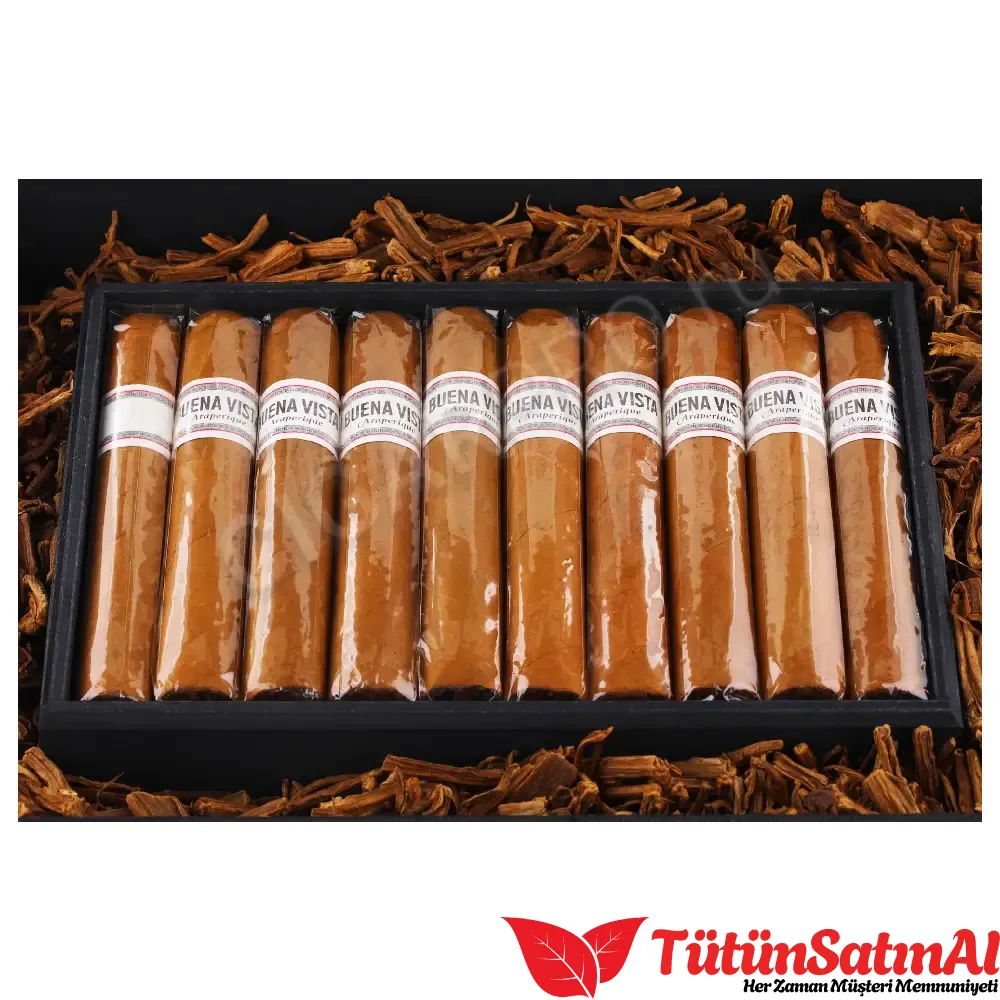 Buena Vista Araperique Robusto Puro - 1 Adet - Görsel 4