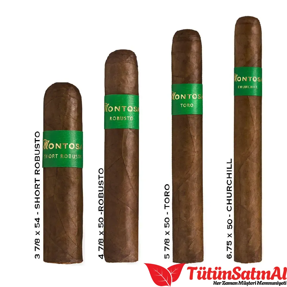 Montosa Maduro Toro 20's Puro - Görsel 3