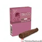 Italico Grappa Plum Puro : Meyve ve Likör