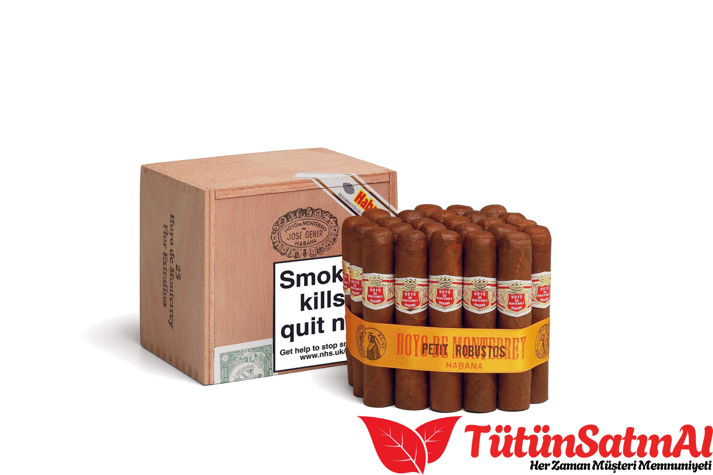 HoyodeMonterreyPetitRobusto25TPD2.webp Hoyo de Monterrey Petit Robusto 25's Puro - Görsel 1