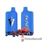 Azva Puff 8000 Forestberry Storm