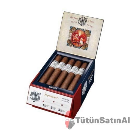 Punch-Signature-Gigante-Puro.jpg Punch Signature Gigante Puro – 18’s - Görsel 1