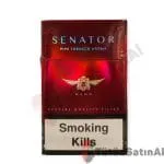 Senator Nano Pipe Tobacco Aroma Sigara