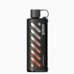 Vozol Gear Sisha 25000 Mango Peach