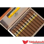 Cohiba Ambar 10's Puro - Görsel 2