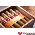 H. Upmann Magnum 54 25's Puro - Görsel 3