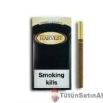Harvest Sweet Coconut Little (Hindistan Cevizi) İthal Sigara