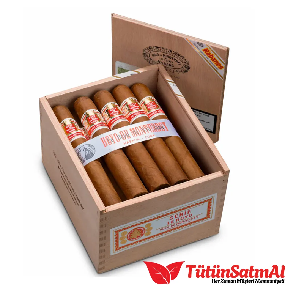 hoyo-de-monterrey-san-juan-2-tutuncesitleri50.webp Hoyo de Monterrey San Juan 10's Puro - Görsel 1