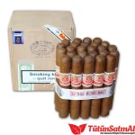 Hoyo de Monterrey San Juan 25's Puro