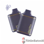 Saltica 7000 Aloe Grape Puff - Leather Series